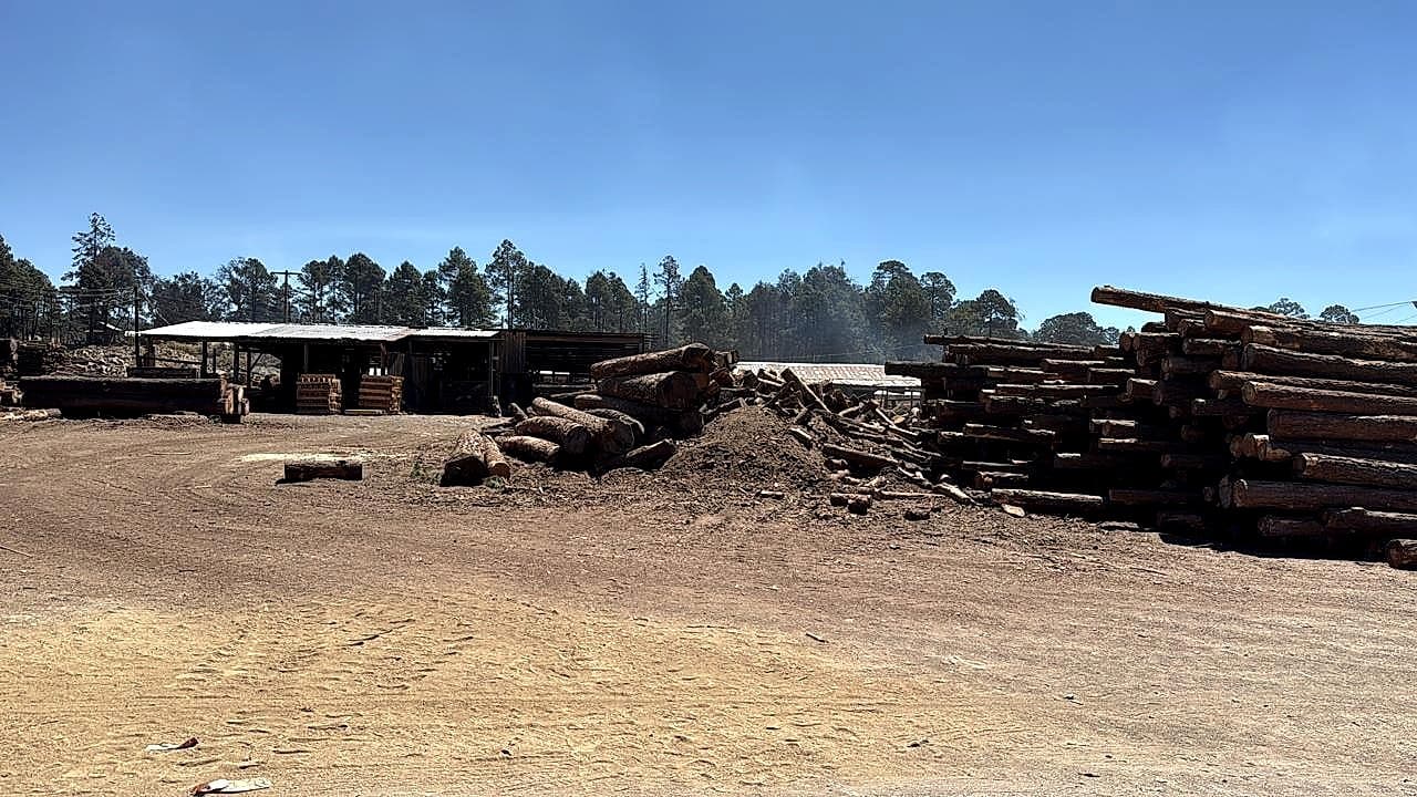 Tracto-camión cargado de madera dimensionada saliendo del centro operativo PROVIMAD en San Luis Potosí
