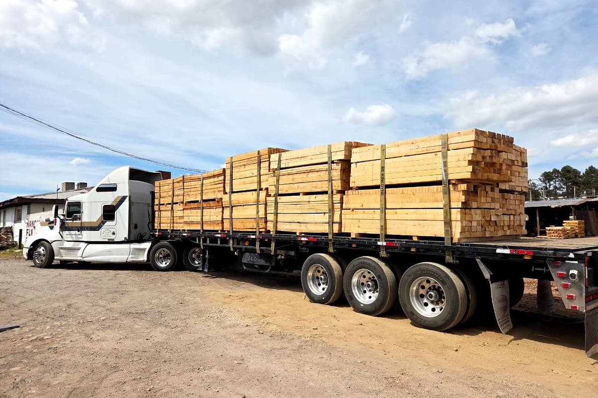 Llegada de materia prima — flujo operativo de PROVIMAD en San Luis Potosí