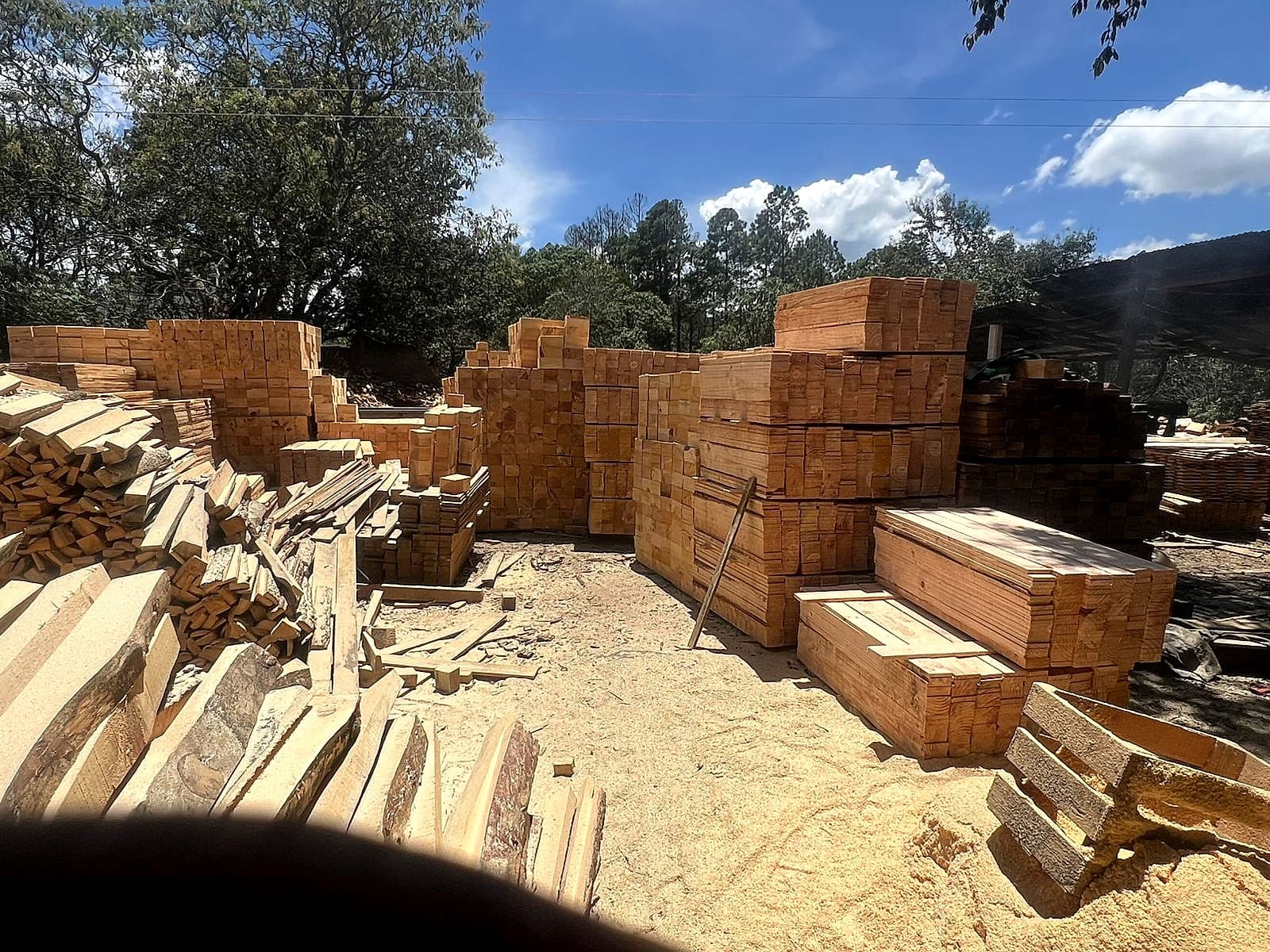 Madera procesada en el centro operativo PROVIMAD — luz dorada sobre la producción diaria